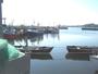 Rügen - Hafen von Thiessow