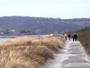 Insel Hiddensee - Deichkrone des Ostseedeichs in Vitte in Richtung Kloster gesehen