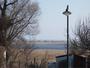 Insel Hiddensee - Blick von Grieben aus auf den Bessin