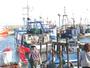 Rügen - Sassnitzer Hafen (01)