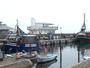 Rügen - Sassnitzer Hafen (02)
