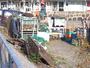 Rügen - Sassnitzer Hafen (03)