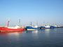 Rügen - Sassnitzer Hafen (04)