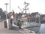 Hiddensee - Vitter Hafen (03)