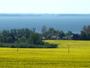 Frühling auf Rügen - Boddenlandschaft