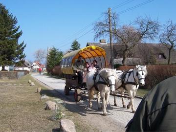 Insel Hiddensee - Straßenverkehr in Grieben