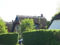 Rügen / Gager - Reet gedeckte Häuser in Gager
