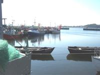 Rügen - Hafen von Thiessow Rügen - Hafen von Thiessow