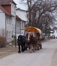 Hiddensee - Kutschfahrt in Vitte Hiddensee - Kutschfahrt in Vitte