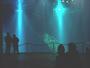 Stralsund - ein Meeresaquarium im Ozeaneum
