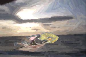 Rügen - der "Wilde Aal Blüsner" Rügen - der "Wilde Aal Blüsner"